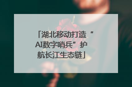 湖北移动打造“AI数字哨兵”护航长江生态链