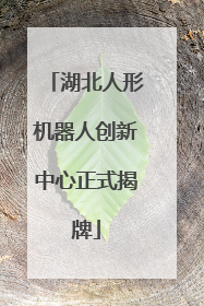 湖北人形机器人创新中心正式揭牌