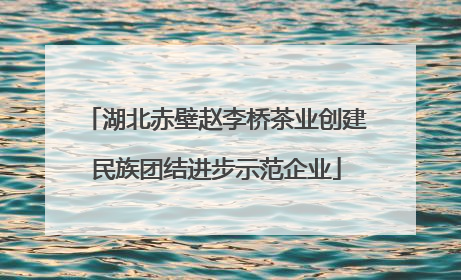 湖北赤壁赵李桥茶业创建民族团结进步示范企业