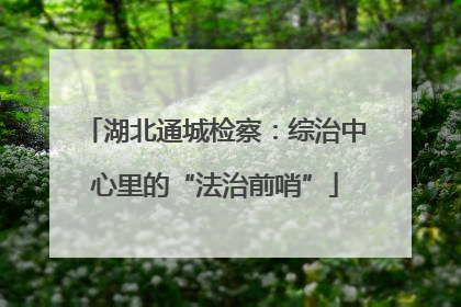 湖北通城检察：综治中心里的“法治前哨”