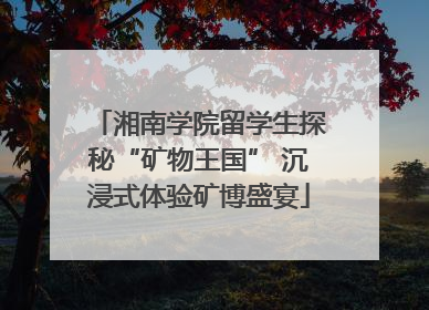 湘南学院留学生探秘“矿物王国” 沉浸式体验矿博盛宴
