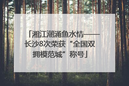 湘江潮涌鱼水情——长沙8次荣获“全国双拥模范城”称号