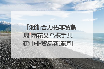 湘浙合力拓非贸新局 雨花义乌携手共建中非贸易新通道