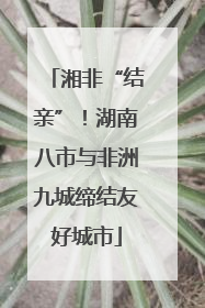 湘非“结亲”！湖南八市与非洲九城缔结友好城市