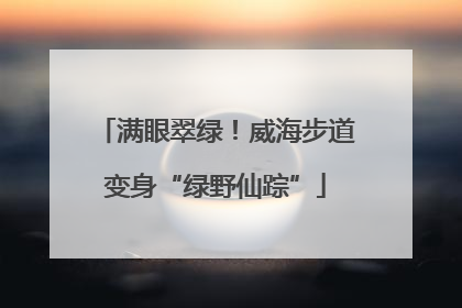 满眼翠绿！威海步道变身“绿野仙踪”