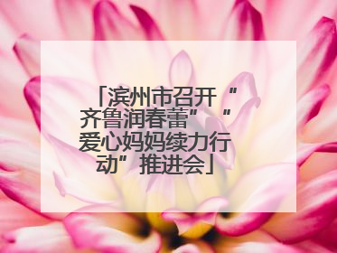 滨州市召开“齐鲁润春蕾”“爱心妈妈续力行动”推进会