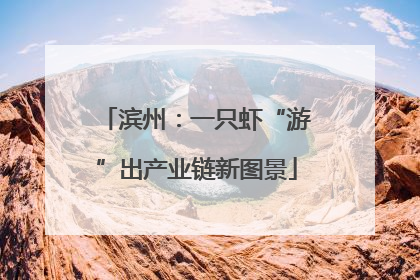 滨州：一只虾“游”出产业链新图景