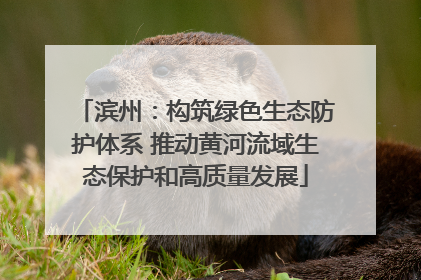 滨州：构筑绿色生态防护体系 推动黄河流域生态保护和高质量发展