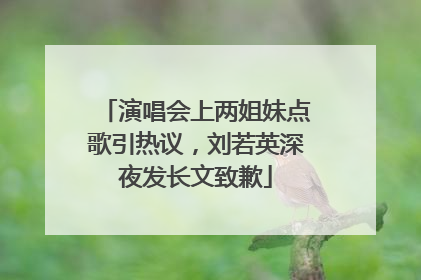 演唱会上两姐妹点歌引热议，刘若英深夜发长文致歉