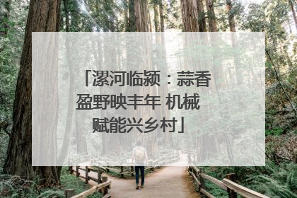 漯河临颍：蒜香盈野映丰年 机械赋能兴乡村