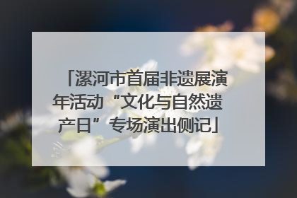 漯河市首届非遗展演年活动“文化与自然遗产日”专场演出侧记