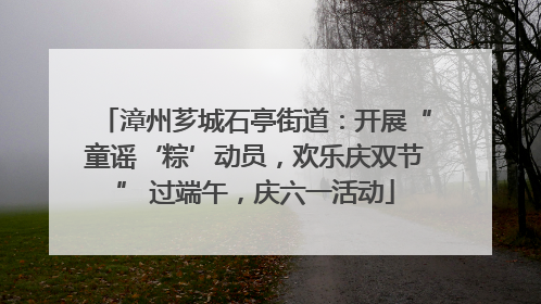 漳州芗城石亭街道：开展“童谣‘粽’动员，欢乐庆双节” 过端午，庆六一活动