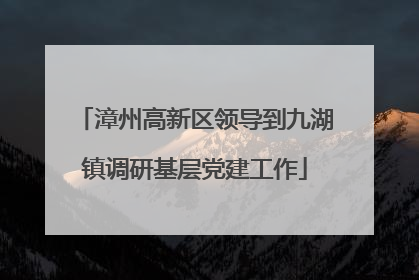 漳州高新区领导到九湖镇调研基层党建工作