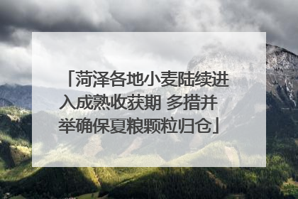 菏泽各地小麦陆续进入成熟收获期 多措并举确保夏粮颗粒归仓