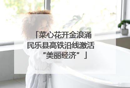 菜心花开金浪涌 民乐县高铁沿线激活“美丽经济”