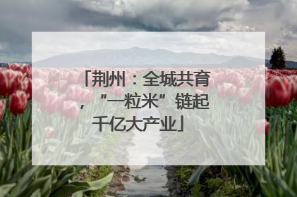 荆州：全城共育，“一粒米”链起千亿大产业