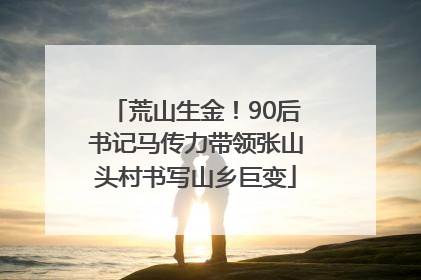 荒山生金！90后书记马传力带领张山头村书写山乡巨变