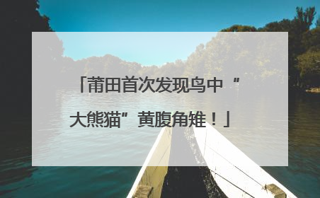 莆田首次发现鸟中“大熊猫”黄腹角雉！