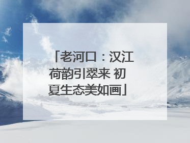 老河口：汉江荷韵引翠来 初夏生态美如画