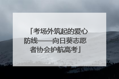 考场外筑起的爱心防线——向日葵志愿者协会护航高考