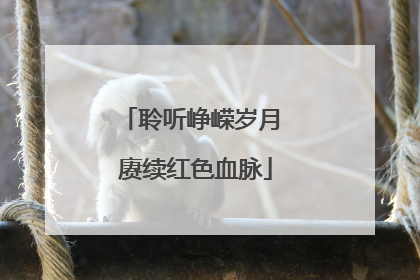 聆听峥嵘岁月 赓续红色血脉