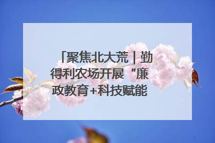 聚焦北大荒｜勤得利农场开展“廉政教育+科技赋能”主题党日活动