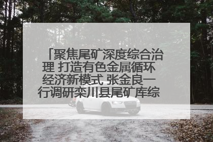 聚焦尾矿深度综合治理 打造有色金属循环经济新模式 张金良一行调研栾川县尾矿库综合治理工作