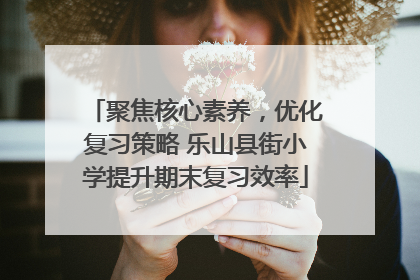 聚焦核心素养，优化复习策略 乐山县街小学提升期末复习效率