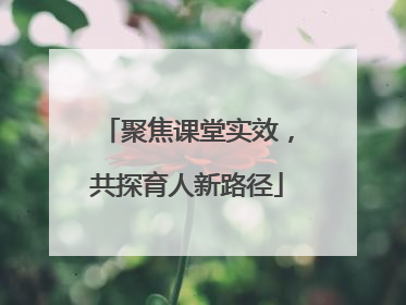 聚焦课堂实效，共探育人新路径