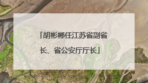 胡彬郴任江苏省副省长、省公安厅厅长