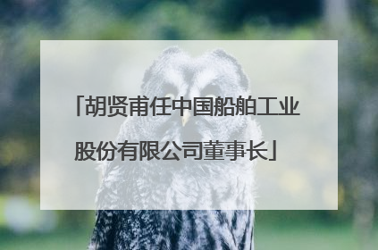 胡贤甫任中国船舶工业股份有限公司董事长