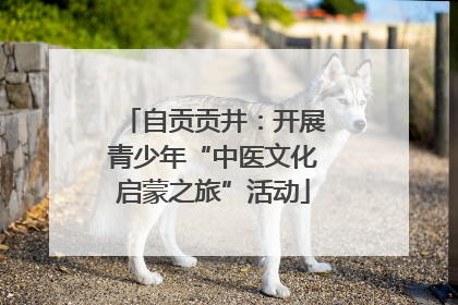 自贡贡井：开展青少年“中医文化启蒙之旅”活动
