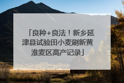 良种+良法！新乡延津县试验田小麦刷新黄淮麦区高产记录