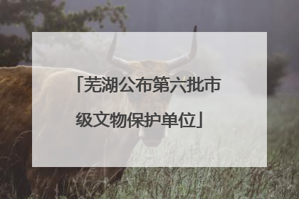 芜湖公布第六批市级文物保护单位