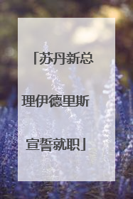苏丹新总理伊德里斯宣誓就职
