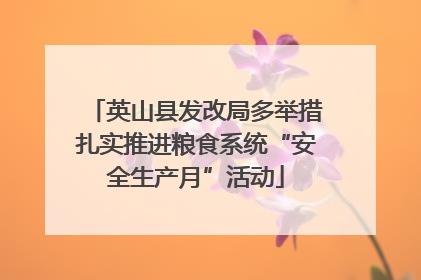 英山县发改局多举措扎实推进粮食系统“安全生产月”活动