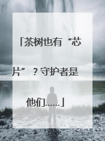 茶树也有“芯片”？守护者是他们……