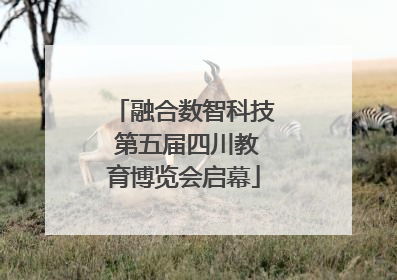 融合数智科技 第五届四川教育博览会启幕