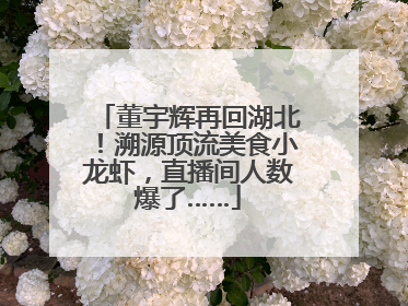 董宇辉再回湖北！溯源顶流美食小龙虾，直播间人数爆了……