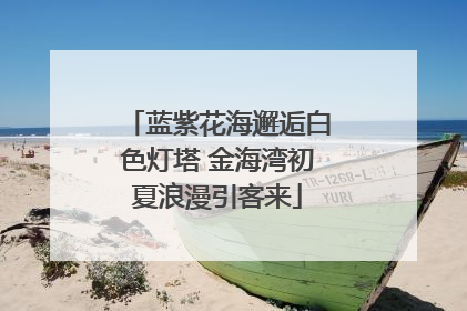 蓝紫花海邂逅白色灯塔 金海湾初夏浪漫引客来
