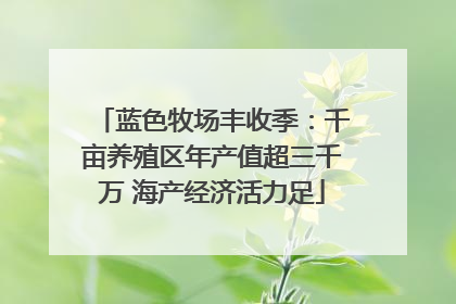 蓝色牧场丰收季：千亩养殖区年产值超三千万 海产经济活力足