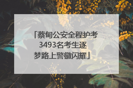 蔡甸公安全程护考 3493名考生逐梦路上警徽闪耀