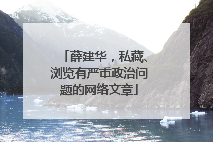 薛建华，私藏、浏览有严重政治问题的网络文章