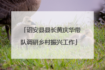 诏安县县长黄庆华带队调研乡村振兴工作