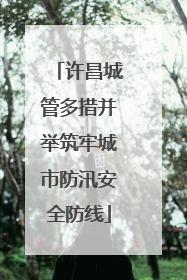 许昌城管多措并举筑牢城市防汛安全防线