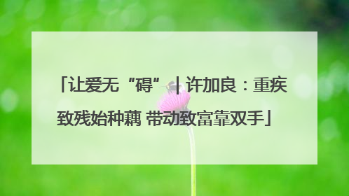 让爱无“碍”｜许加良：重疾致残始种藕 带动致富靠双手