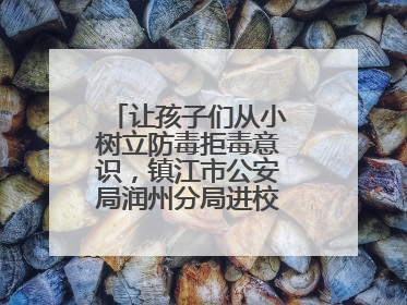 让孩子们从小树立防毒拒毒意识，镇江市公安局润州分局进校展开禁毒宣传