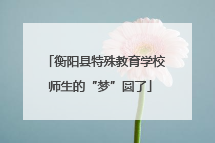 衡阳县特殊教育学校师生的“梦”圆了