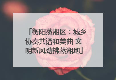 衡阳蒸湘区：城乡协奏共谱和美曲 文明新风劲拂蒸湘地