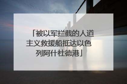 被以军拦截的人道主义救援船抵达以色列阿什杜德港
